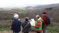 Balade des 10 crus du Beaujolais, vue panoramique
